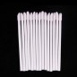 Mini aplicatoare, betisoare Lip Brush pentru aplicare extensii gene - 50 buc