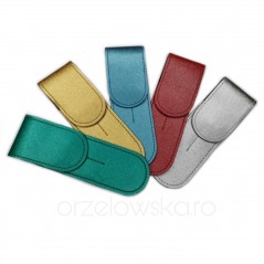 Tweezer case, tweezer protection
