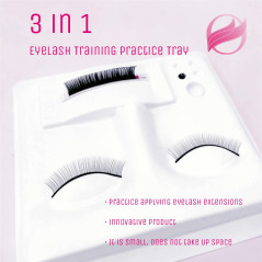 Practice Mask Mannequin, with place for adhesive holder and dust cover