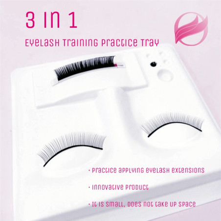 Practice Mask Mannequin, with place for adhesive holder and dust cover