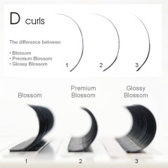 0.07 D Glossy Queen, eyelash extensions one by one, silky black