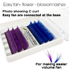0.07 Easy Fan lashes, Volum, Blossom flower - Albastru & Mov 11-13