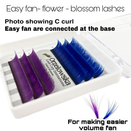 0.07 Easy Fan lashes, Volum, Blossom flower - Albastru & Mov 11-13