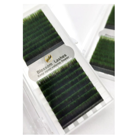 Extensiones de pestañas ombre Blossom, verde y negro, 0.07, 16 líneas