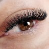 3D W - double tips - PINKY, Curl D : pre-made eyelash extensions, quick volume