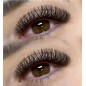 3D W - double tips - PINKY, Curl D : pre-made eyelash extensions, quick volume
