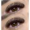 3D W - double tips - PINKY, Curl D : pre-made eyelash extensions, quick volume